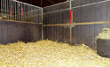 Box mit Stroh