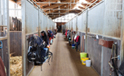 Stallgebaeude