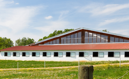 Westernstall